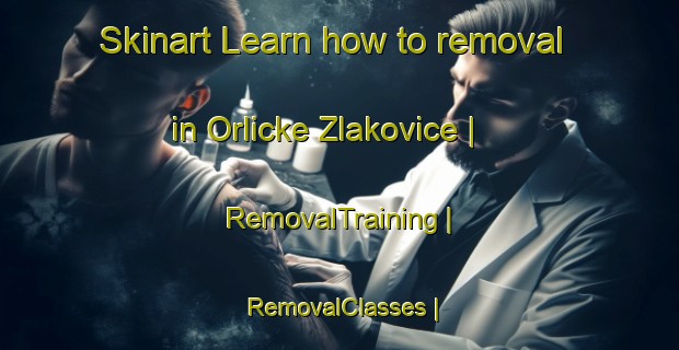 Skinart Learn how to removal in Orlicke Zlakovice | RemovalTraining | RemovalClasses | SkinartTraining-Czech Republic